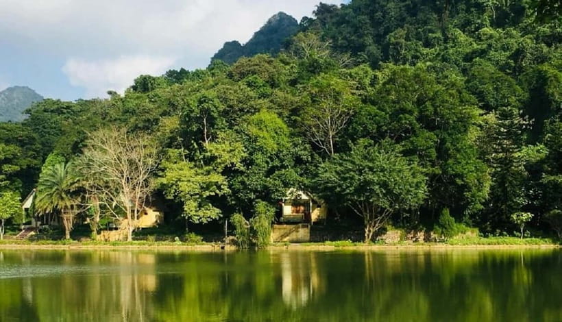 Ninh Binh : Cuc Phuong National Park One Day Group Tour - Why Cuc Phuong makes a good change from Ninh Binh