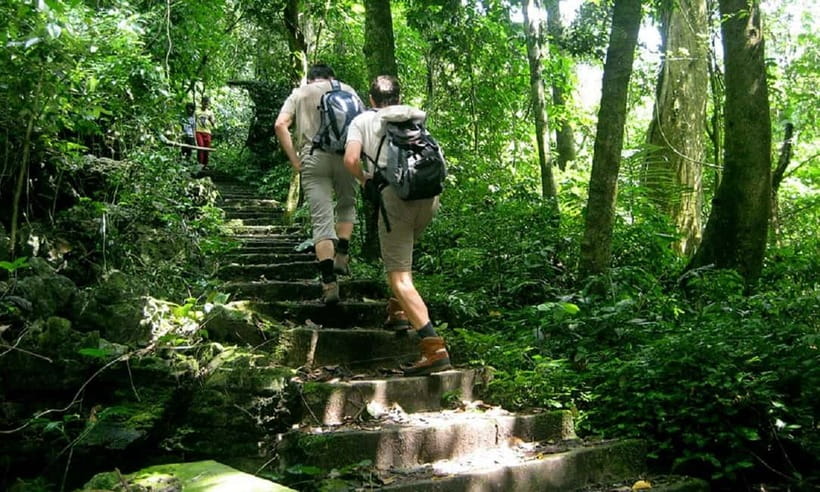 Ninh Binh : Cuc Phuong National Park One Day Group Tour - Meeting rescued monkeys and gibbons