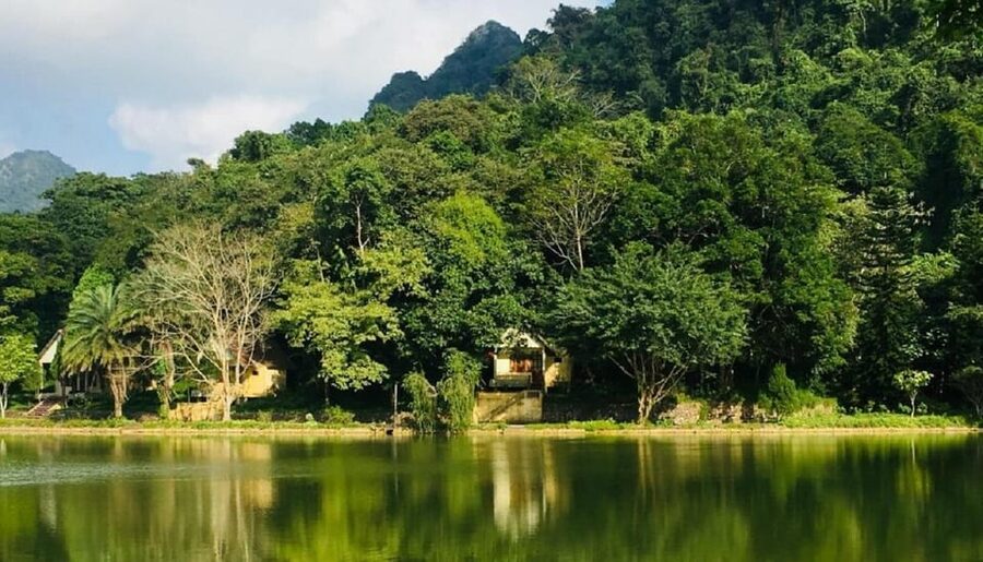Ninh Binh : Cuc Phuong National Park One Day Group Tour - Lunch at the park entrance or center
