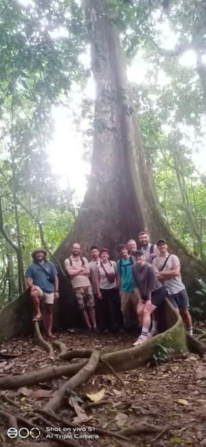 Ninh Binh : Cuc Phuong National Park One Day Group Tour - Hiking to the 1000 Years Old Tree and Ancient Tree