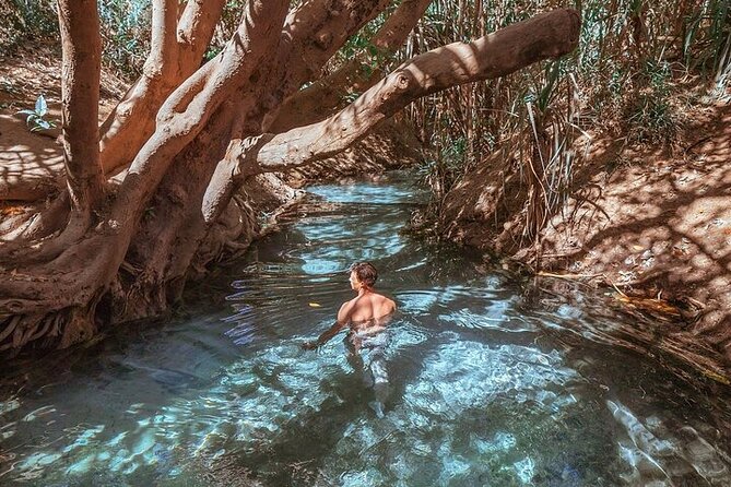 Nitmiluk National Park & Katherine Hot Springs - Full Day Tour - Katherine Hot Springs as the quiet finish