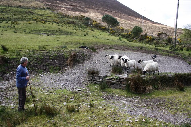 NO 1 Ring of Kerry Tour inc Killarney Lakes & National Park - Coastal bays, Waterville, and the long coach ride