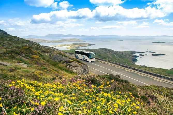 NO 1 Ring of Kerry Tour inc Killarney Lakes & National Park - Killarney National Park and the Lakes