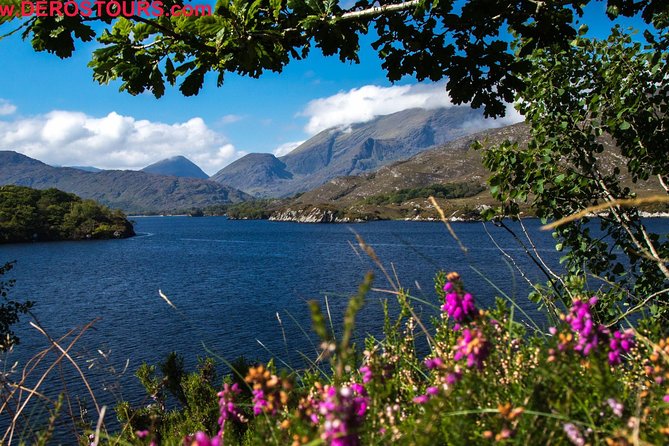 NO 1 Ring of Kerry Tour inc Killarney Lakes & National Park - The Kells sheepdog demonstration