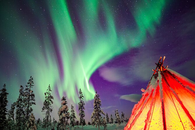 Northern Lights Wilderness Small-Group Tour from Rovaniemi - Leaving Rovaniemi for darker skies