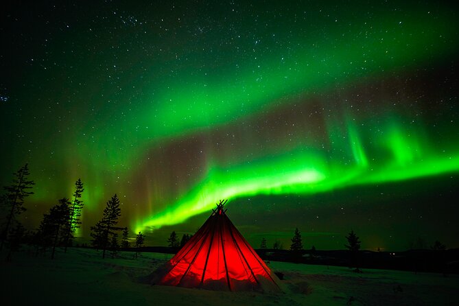 Northern Lights Wilderness Small-Group Tour from Rovaniemi - Is $155.68 good value?