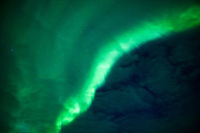 Northern Lights Wilderness Small-Group Tour from Rovaniemi - Practical details before you book