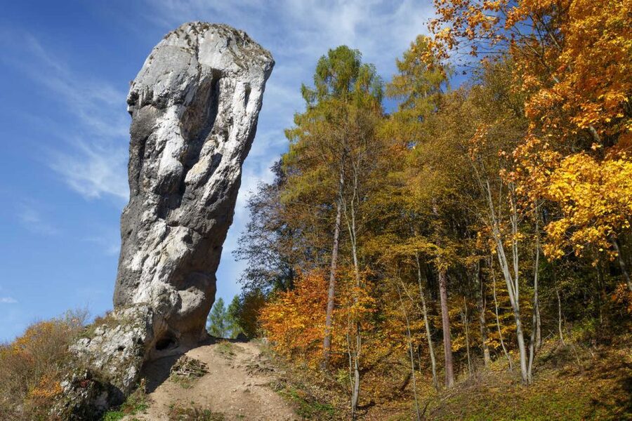 Ojcow National Park: Full-Day Trip from Krakow - Who should book this Ojcow trip?