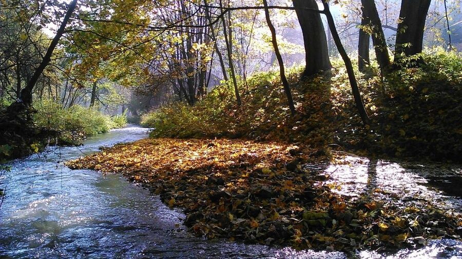 Ojcow National Park: Full-Day Trip from Krakow - Ojcow’s Gothic castle ruins