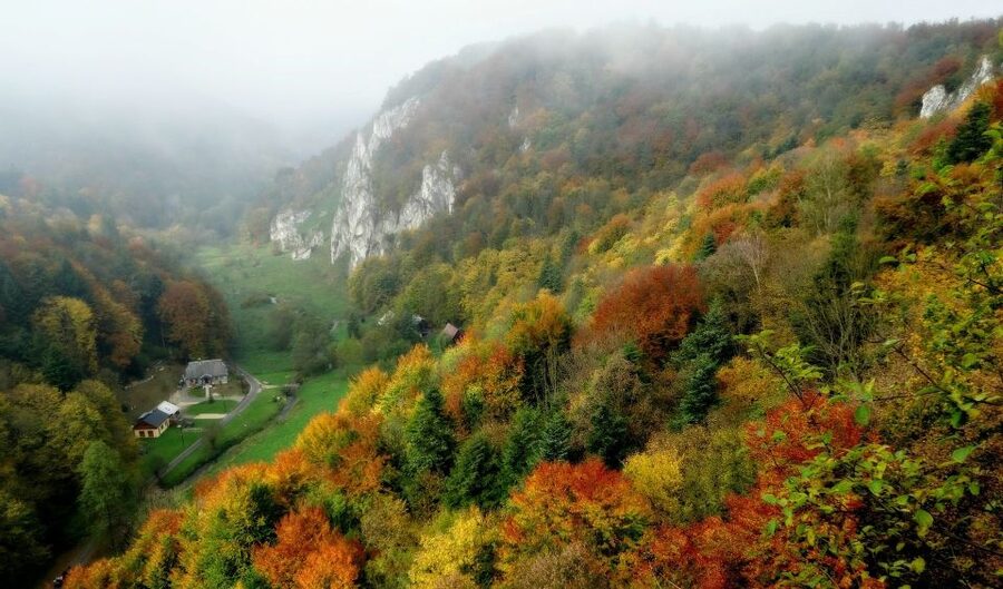 Ojcow National Park: Full-Day Trip from Krakow - Pieskowa Skala Castle and Polish Renaissance detail