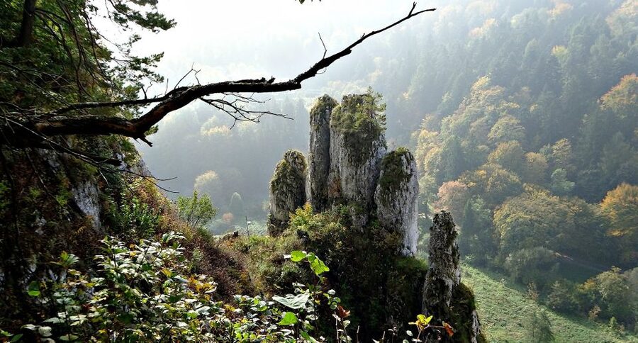 Ojcow National Park: Full-Day Trip from Krakow - Guides, pickup, and the pace of the day