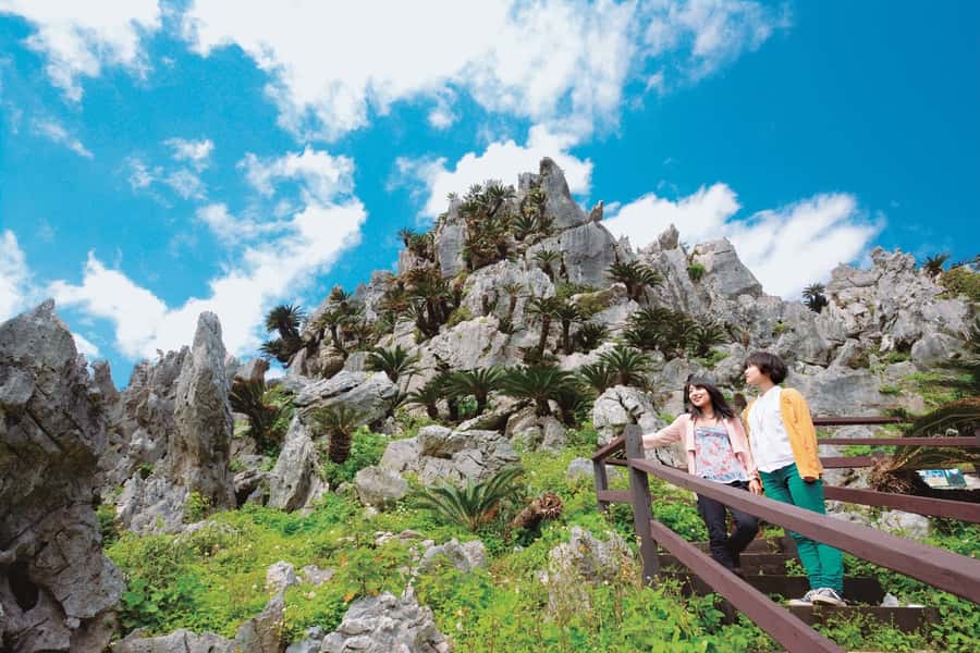 Okinawa: Full-Day Bus Tour to Yanbaru National Park - Why this northern Okinawa tour is worth considering