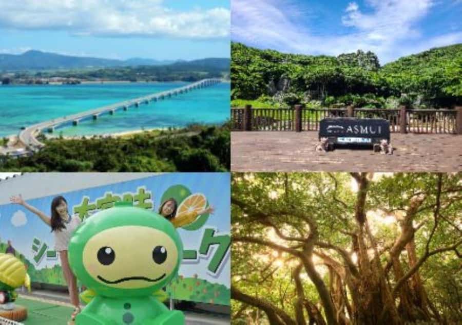 Okinawa: Full-Day Bus Tour to Yanbaru National Park - The Yanbaru Forest Visitor Center sets the scene