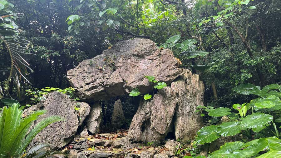 Okinawa: Full-Day Bus Tour to Yanbaru National Park - Walking through Daisekirinzan’s tropical rock country