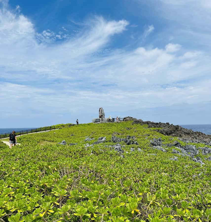 Okinawa: Full-Day Bus Tour to Yanbaru National Park - The long ride home is part of the bargain