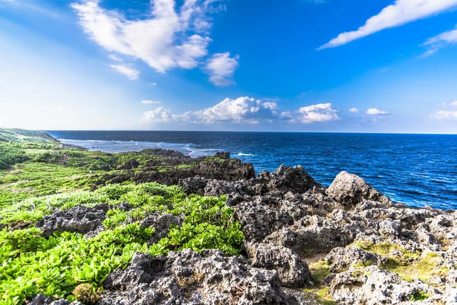 Okinawa: Full-Day Bus Tour to Yanbaru National Park - Boarding in Naha at 8:00, 8:10, or 8:20