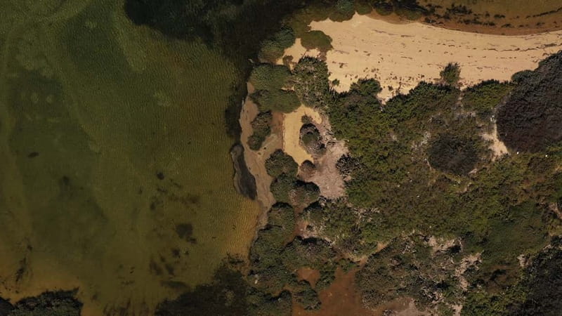 Olhão: Ria Formosa National Park and Islands Boat Cruise - What the $35 Price Really Covers