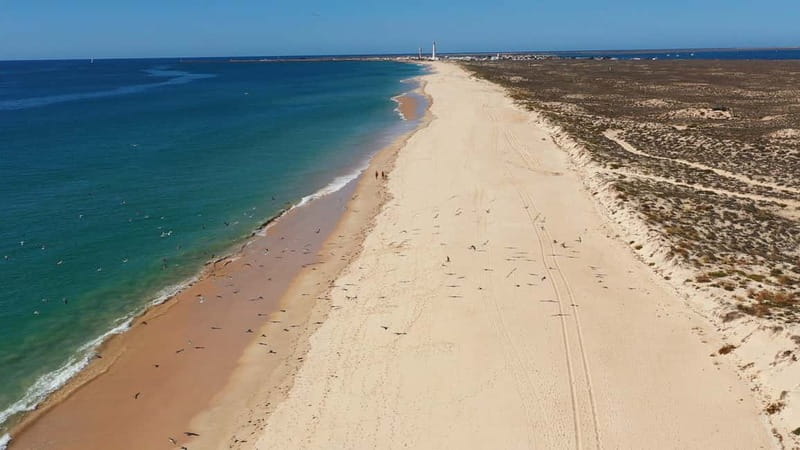 Olhão: Ria Formosa National Park and Islands Boat Cruise - Who Will Enjoy This Olhão Boat Trip?