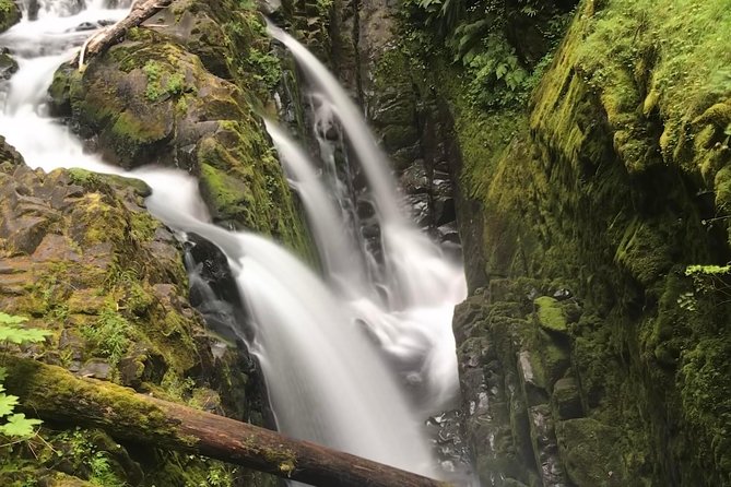 Olympic National Park Day Tour from Seattle - Key points to know before booking