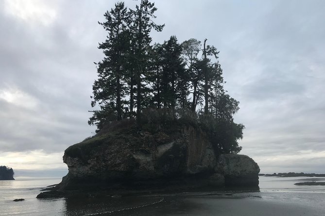Olympic National Park Day Tour from Seattle - Hurricane Ridge gives you the big view