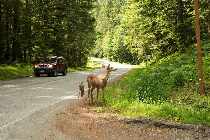 Olympic National Park Day Tour from Seattle - Beaches, tide pools, and the Dungeness choice
