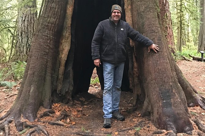 Olympic National Park Day Tour from Seattle - Lake Crescent and the old-growth forest