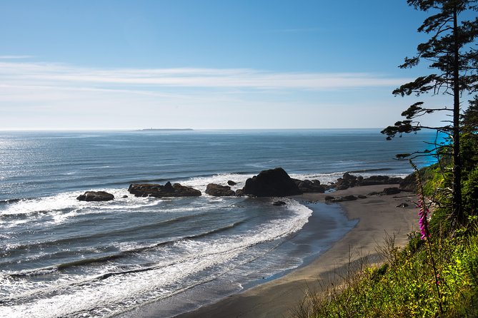 Olympic National Park Day Tour from Seattle - Sol Duc Falls, hot springs, and seasonal changes