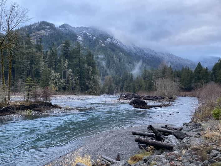 Olympic National Park: Half-Day Tour - A compact introduction to Olympic National Park