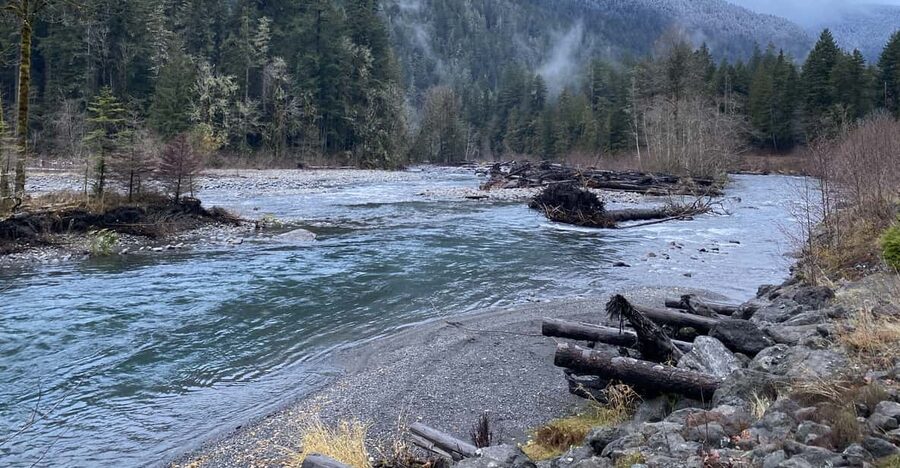 Olympic National Park: Half-Day Tour - The Elwha Valley and Madison Creek Falls