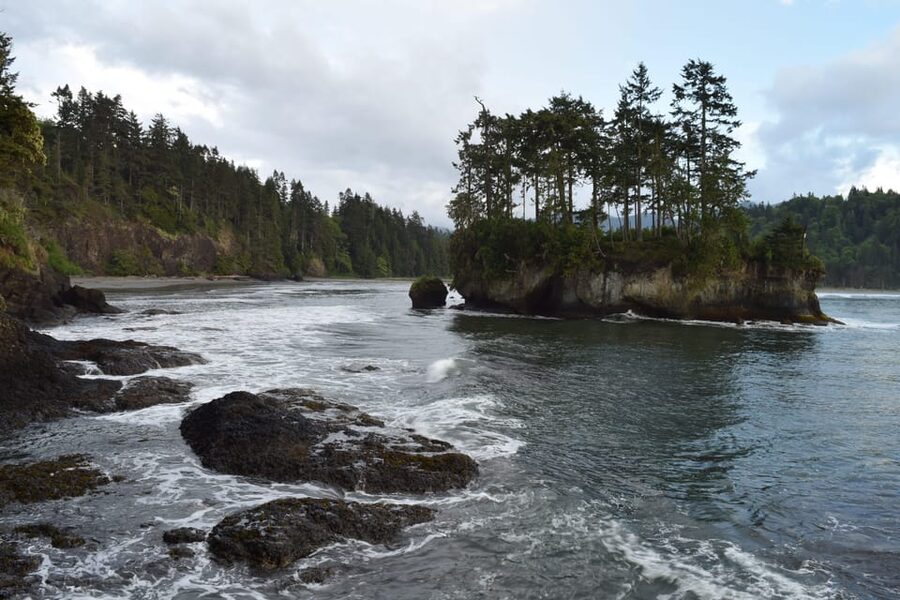 Olympic National Park: Half-Day Tour - What the guide adds to the day