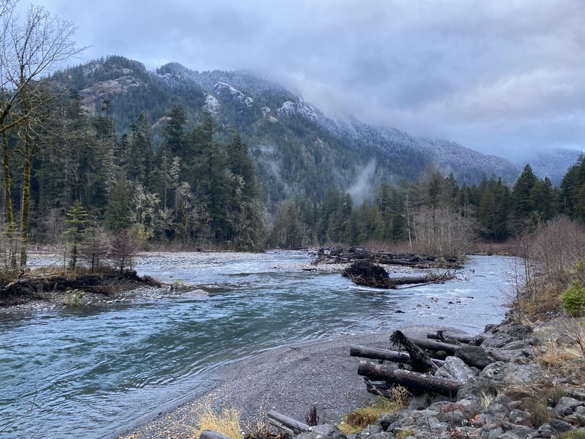 Olympic National Park: Half-Day Tour - Transportation from Port Angeles