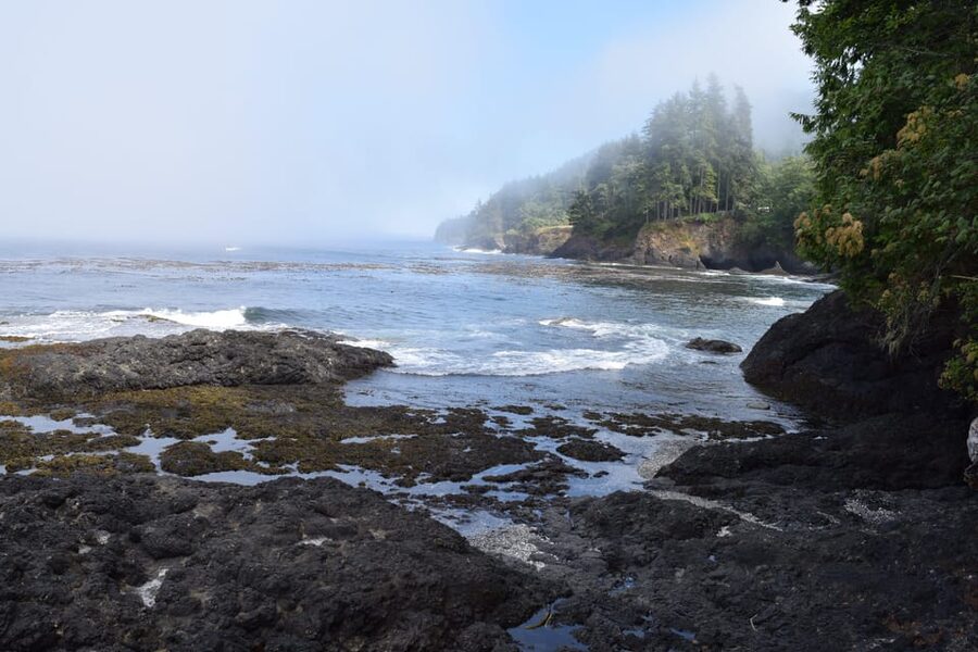 Olympic National Park: Half-Day Tour - Cancellation and booking flexibility