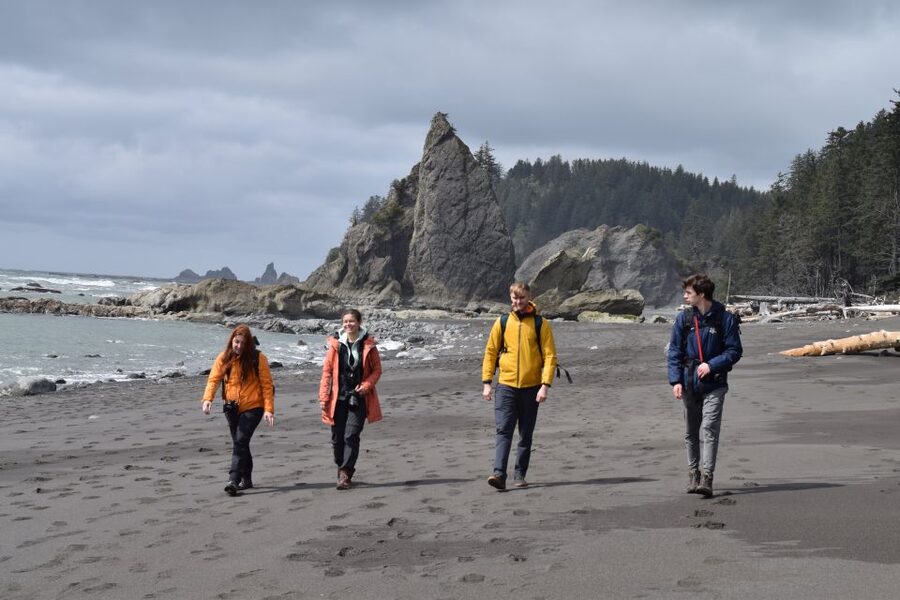 Olympic National Park: Hoh Rain Forest and Rialto Beach Tour - Is $190 a fair price?