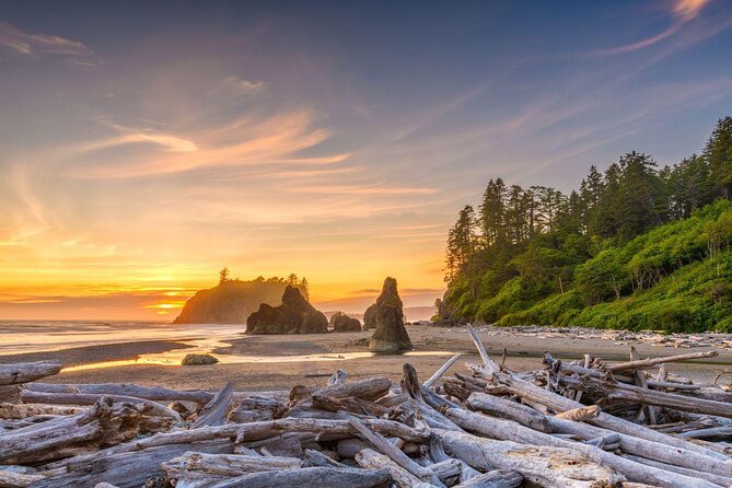 Olympic National Park Small Group Day Tour w/Scenic Ferry 2CanGo - A ferry start that makes the long day worthwhile