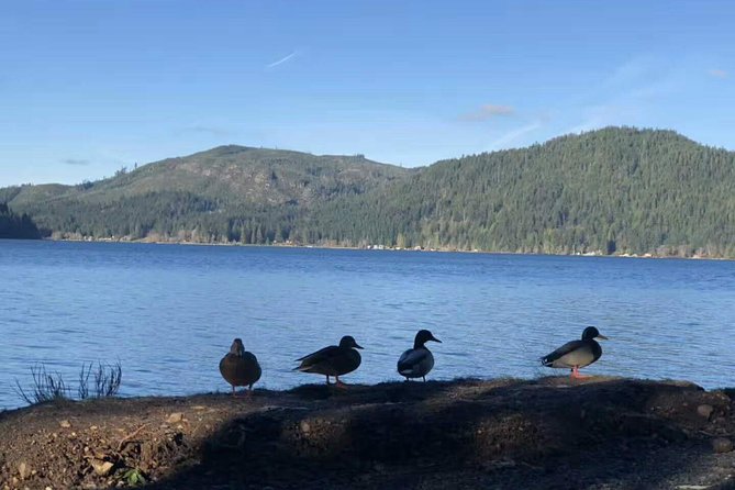 Olympic National Park Small Group Day Tour w/Scenic Ferry 2CanGo - Timing, weather, and seasonal changes