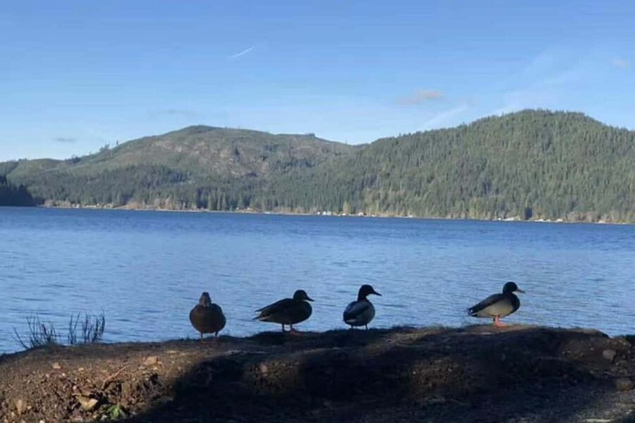 Olympic National Park Small Group Day Tour w/ State Ferries - Why the Seattle ferry makes this day special