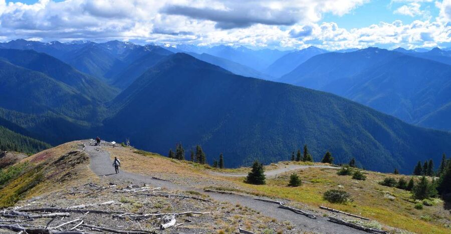 Olympic National Park: Sol Duc and Hurricane Ridge Tour - The Port Angeles Stop and Lunch Plan