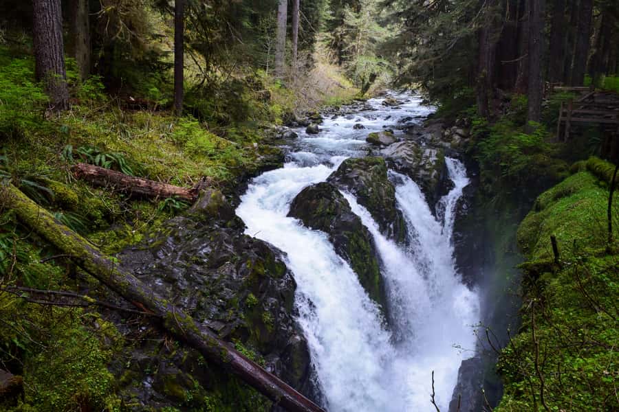 Olympic National Park: Sol Duc and Hurricane Ridge Tour - Sol Duc Falls and the Two-Mile Forest Walk