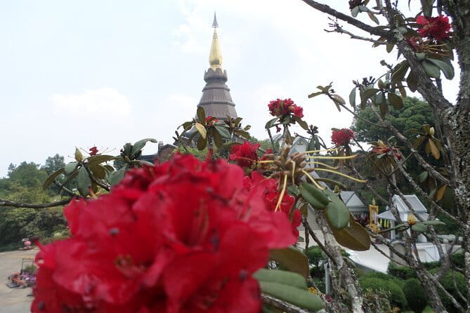 One day Doi Inthanon National Park & Trekking on Kew Mae Pan - What the price covers, and what it does not