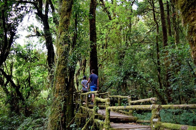 One Day Inthanon National Park (Private Tour) - Reaching the summit of Thailand’s highest mountain
