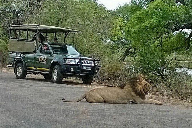 Open Vehical Safari in Kruger National Park Half Day - Six Hours in Kruger, From Marloth Park to the Park Roads