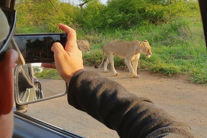 Open Vehical Safari in Kruger National Park Half Day - Why the Open Vehicle Makes a Difference