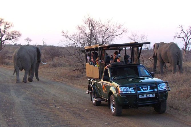 Open Vehical Safari in Kruger National Park Half Day - Booking Details and Cancellation Rules