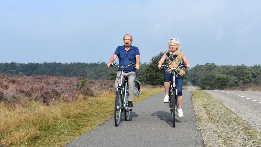 Otterlo: De Hoge Veluwe National Park Entry & E-bike - Why an e-bike makes De Hoge Veluwe easier
