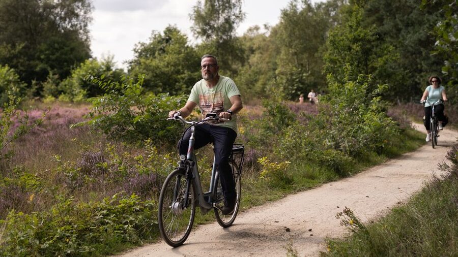 Otterlo: De Hoge Veluwe National Park Entry & E-bike - What the seven-and-a-half-hour outing feels like