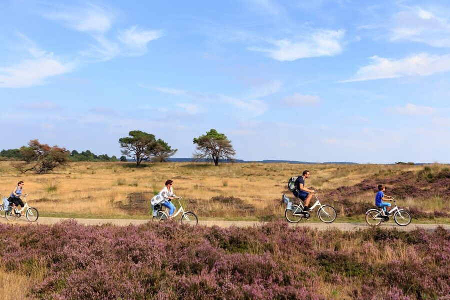 Otterlo: De Hoge Veluwe National Park Entry Ticket - Jachthuis Sint Hubertus and the cultural side of the park