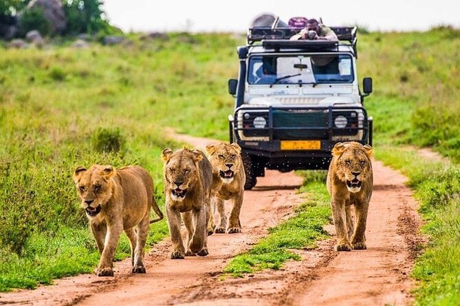 Outstanding day trip to Tarangire National Park - The 6:00 am start from Arusha
