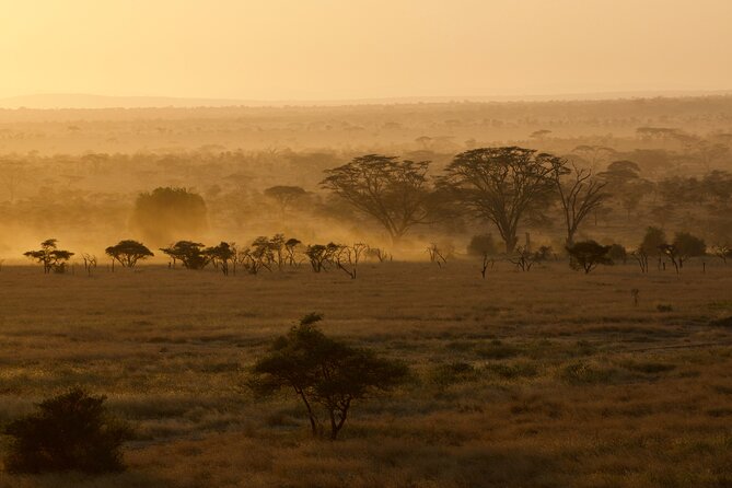Outstanding day trip to Tarangire National Park - Elephants, lions, and the animals you might see