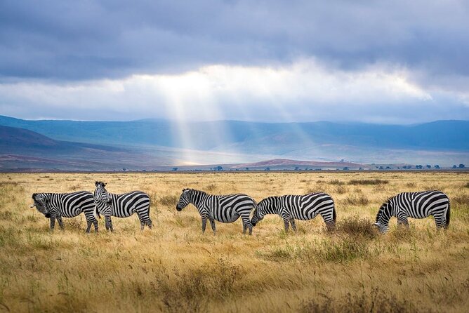 Outstanding day trip to Tarangire National Park - Entering Tarangire for the main game drive