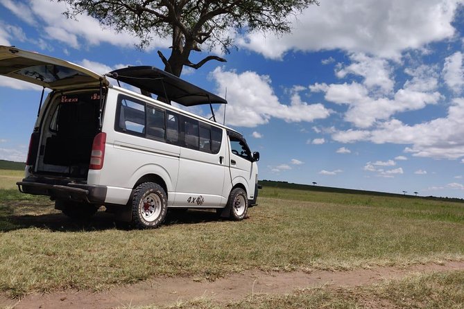 Overnight Amboseli National Park Safari from Nairobi - The early drive and Observation Hill